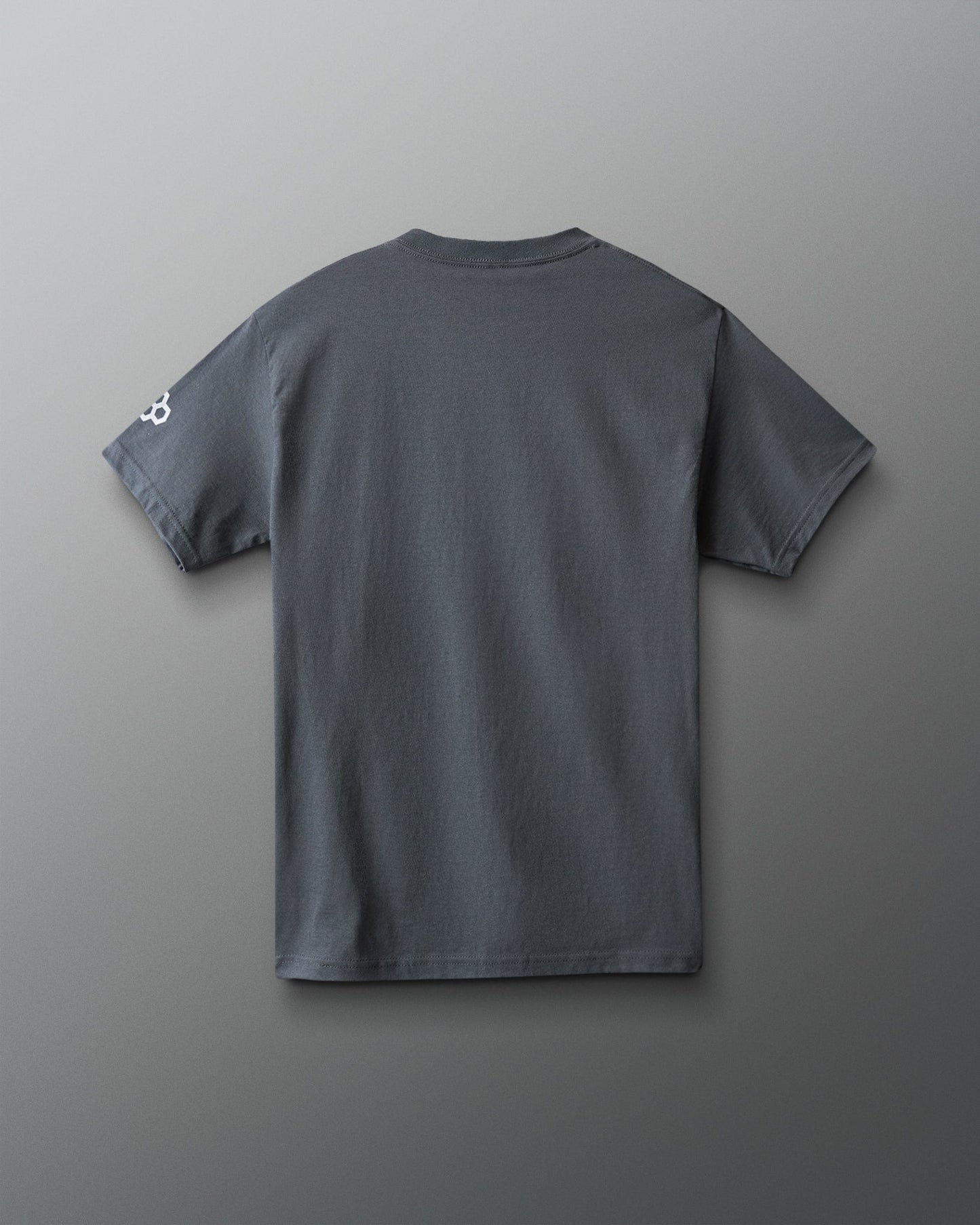 RUDIS FOR WE WRESTLE Heavyweight T-Shirt