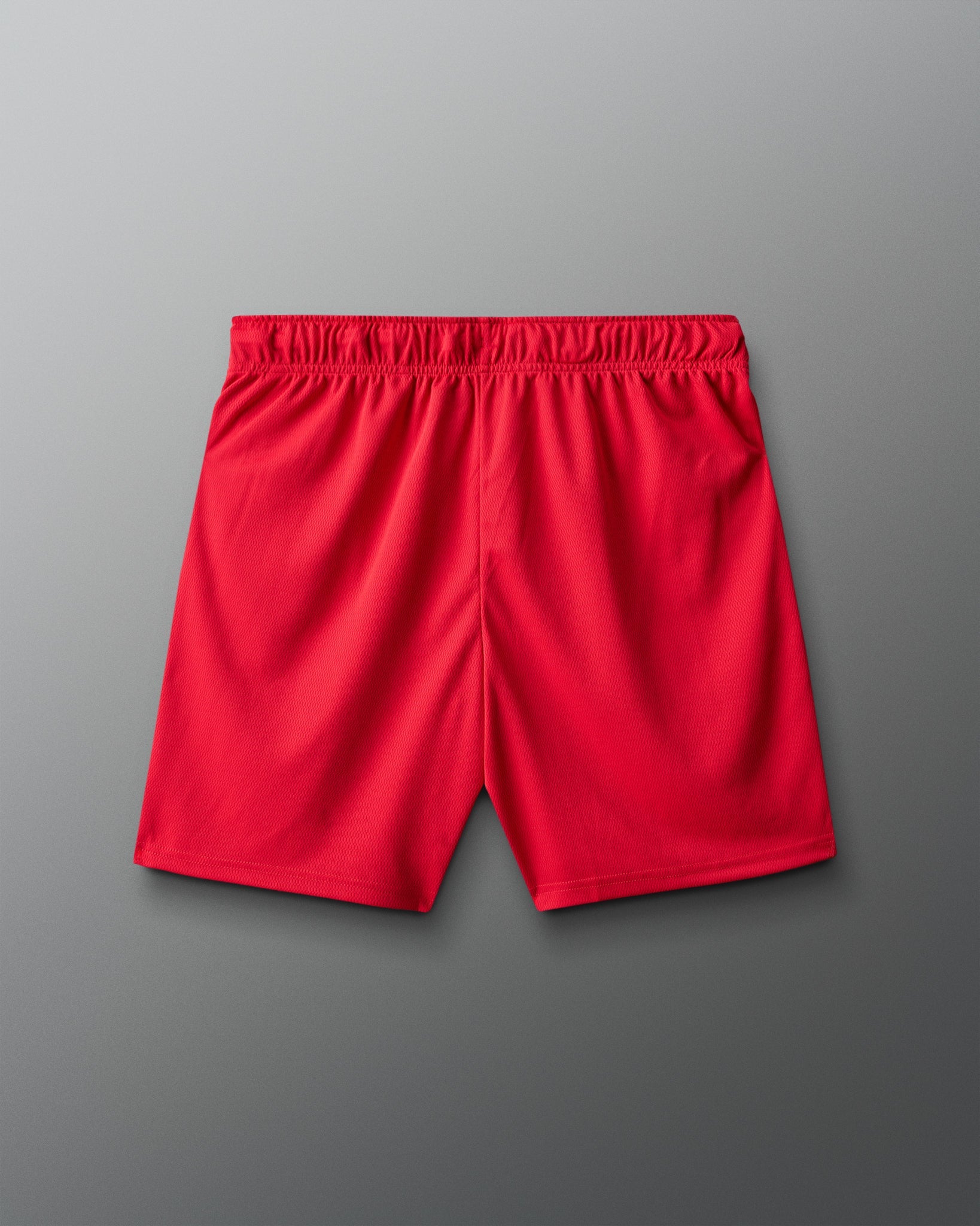 RUDIS Fear Has No Power 6" 2.0 Mesh Shorts