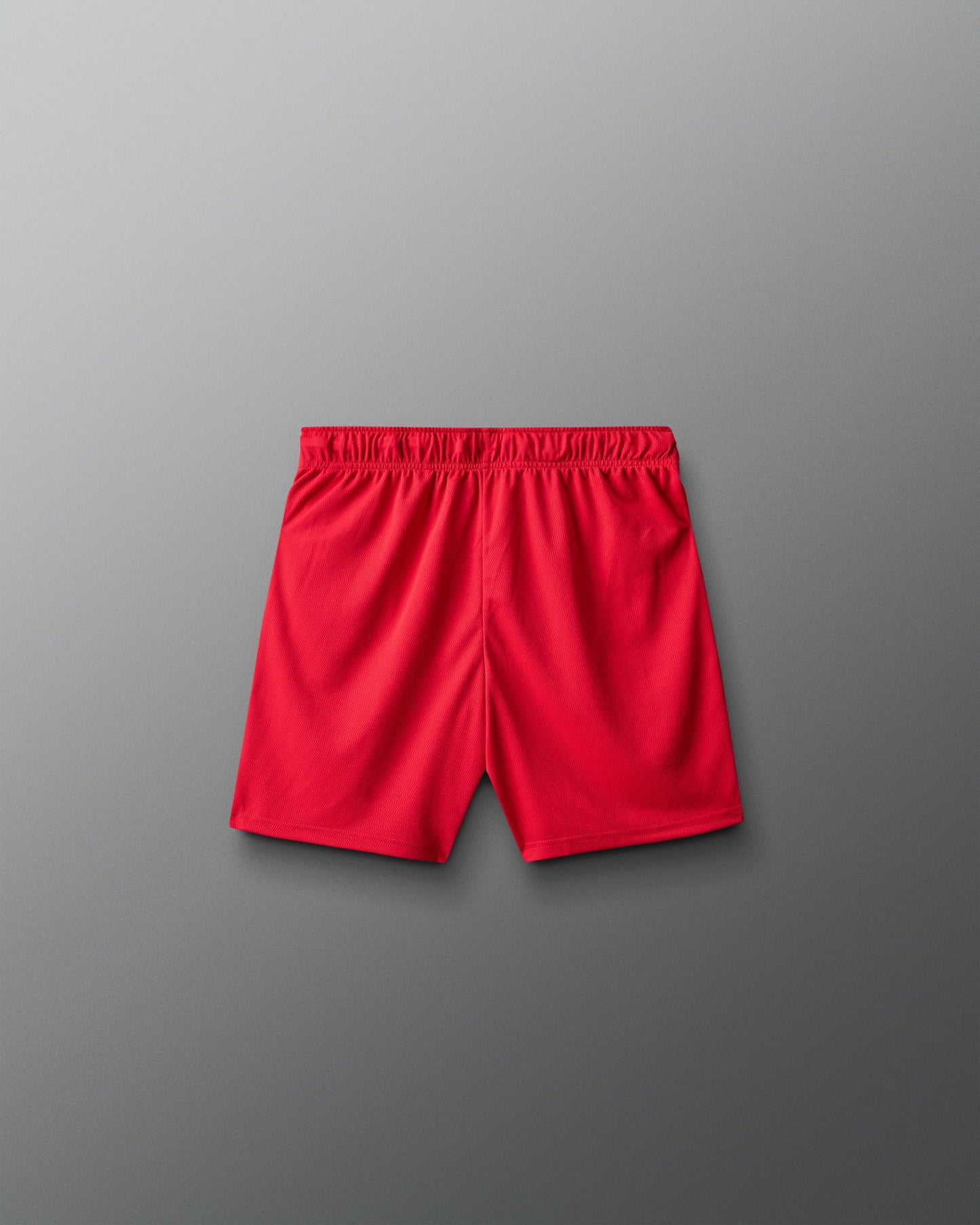 RUDIS Fear Has No Power Youth 6" 2.0 Mesh Shorts