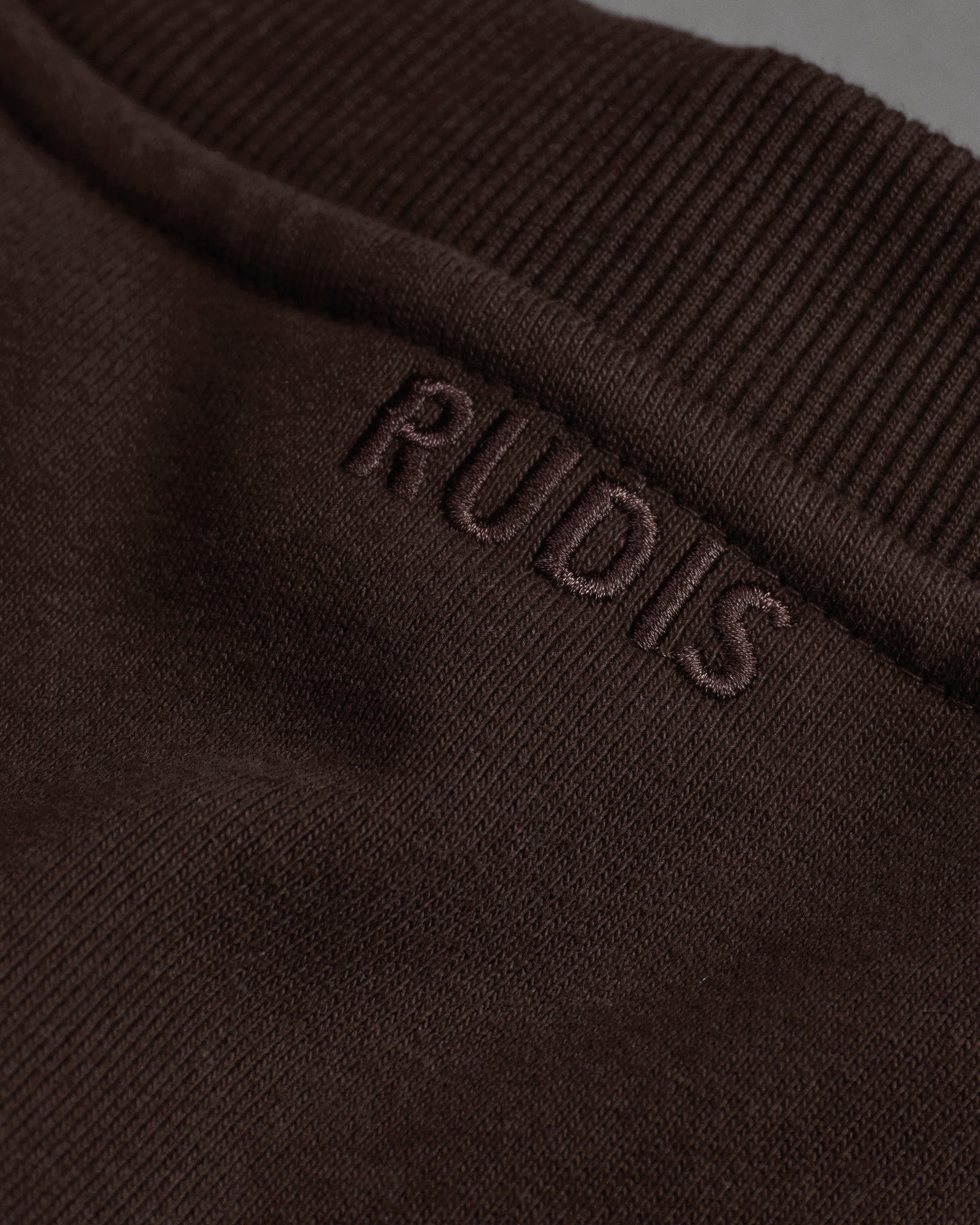 RUDIS Fear Not Titan Heavyweight Crewneck