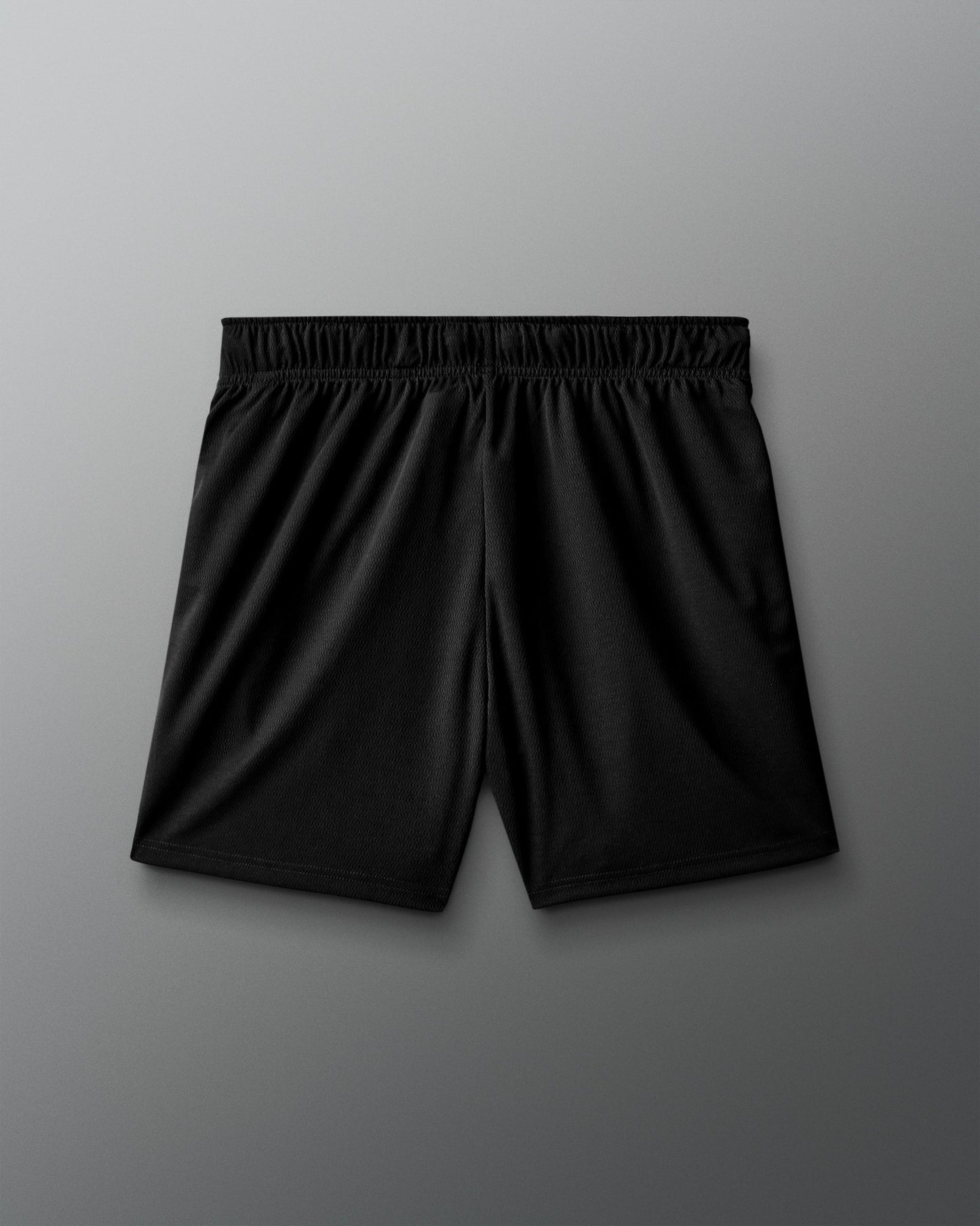 RUDIS RUDIS 5" Mesh Shorts