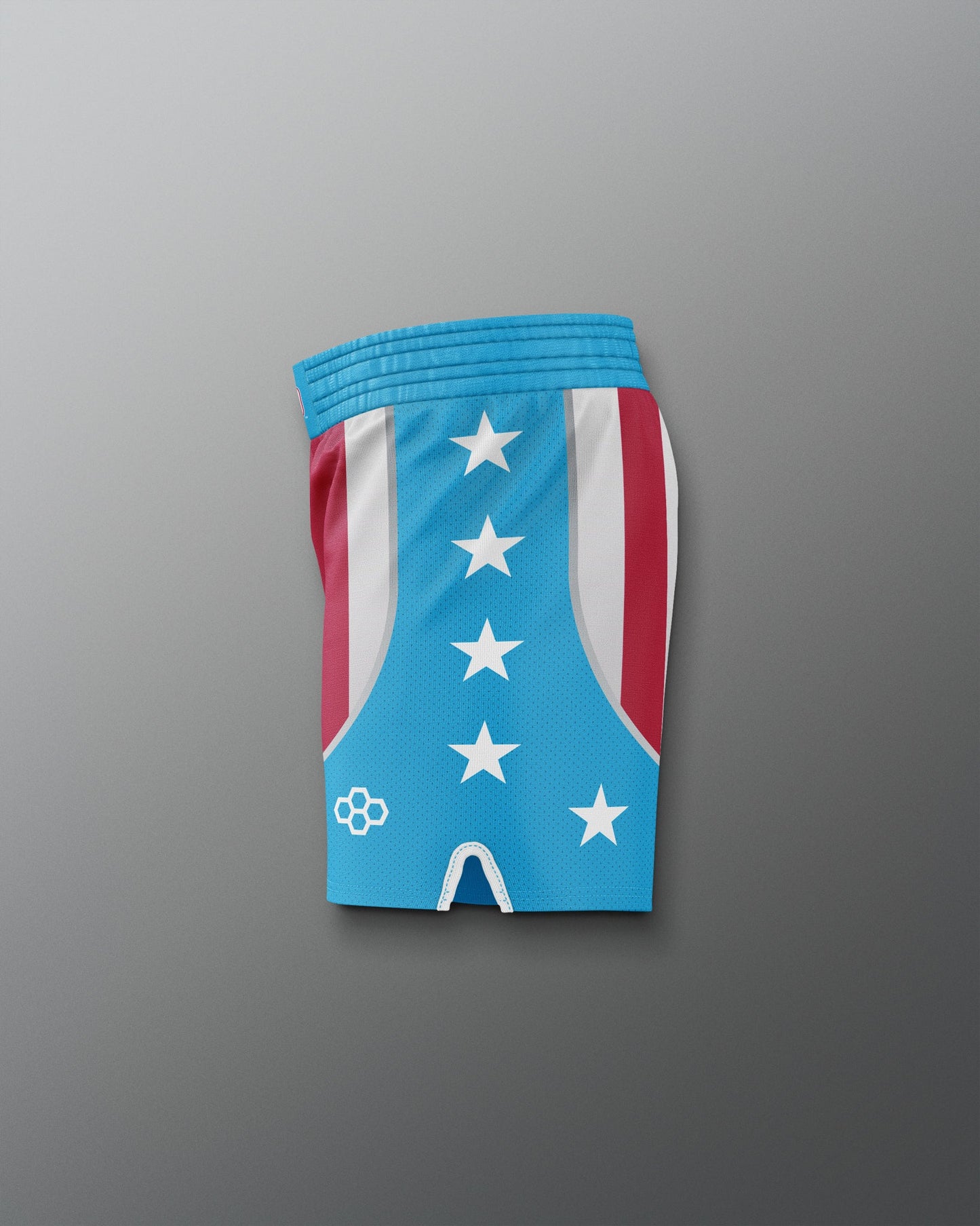 RUDIS Apollo Creed Inspired Boxing Shorts  x ROCKY Collection