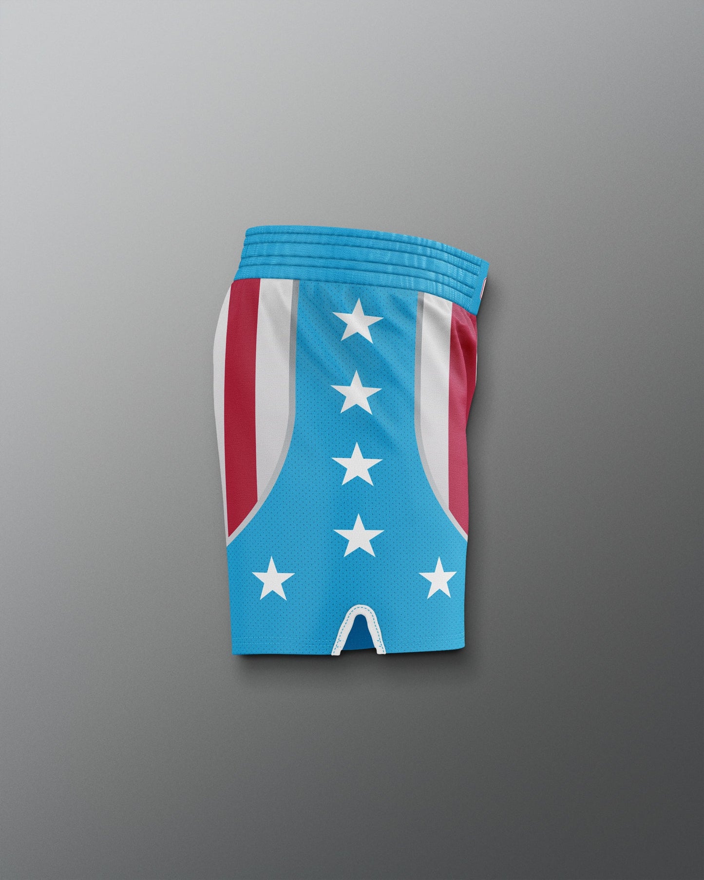 RUDIS Apollo Creed Inspired Boxing Shorts  x ROCKY Collection