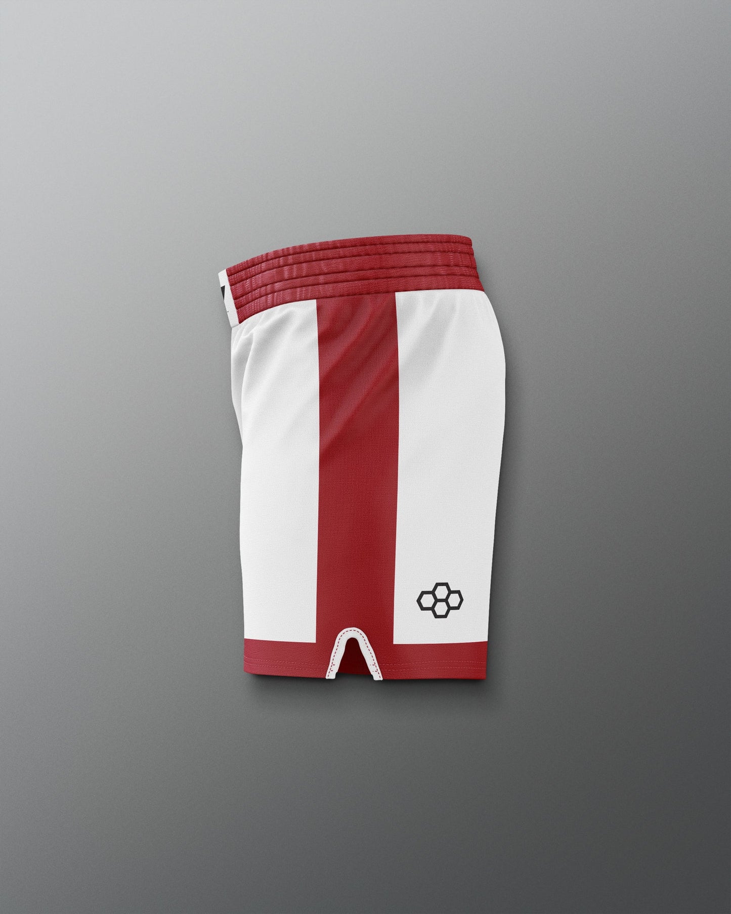 RUDIS Official ROCKY Italian Stallion Training Shorts - Boxing Trunks
