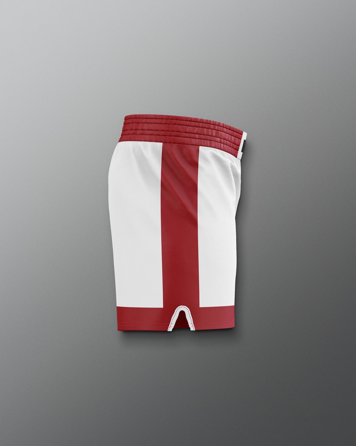 RUDIS Official ROCKY Italian Stallion Training Shorts - Boxing Trunks