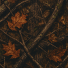 Terrain