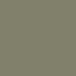 Olive,XS